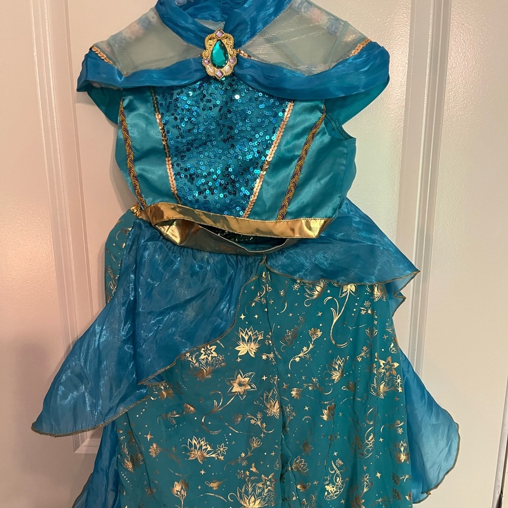 Disneys Jasmine Costume